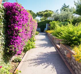 Villa Ceselle, Anacapri, Italy