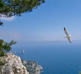 Villa Ceselle, Anacapri, Italy